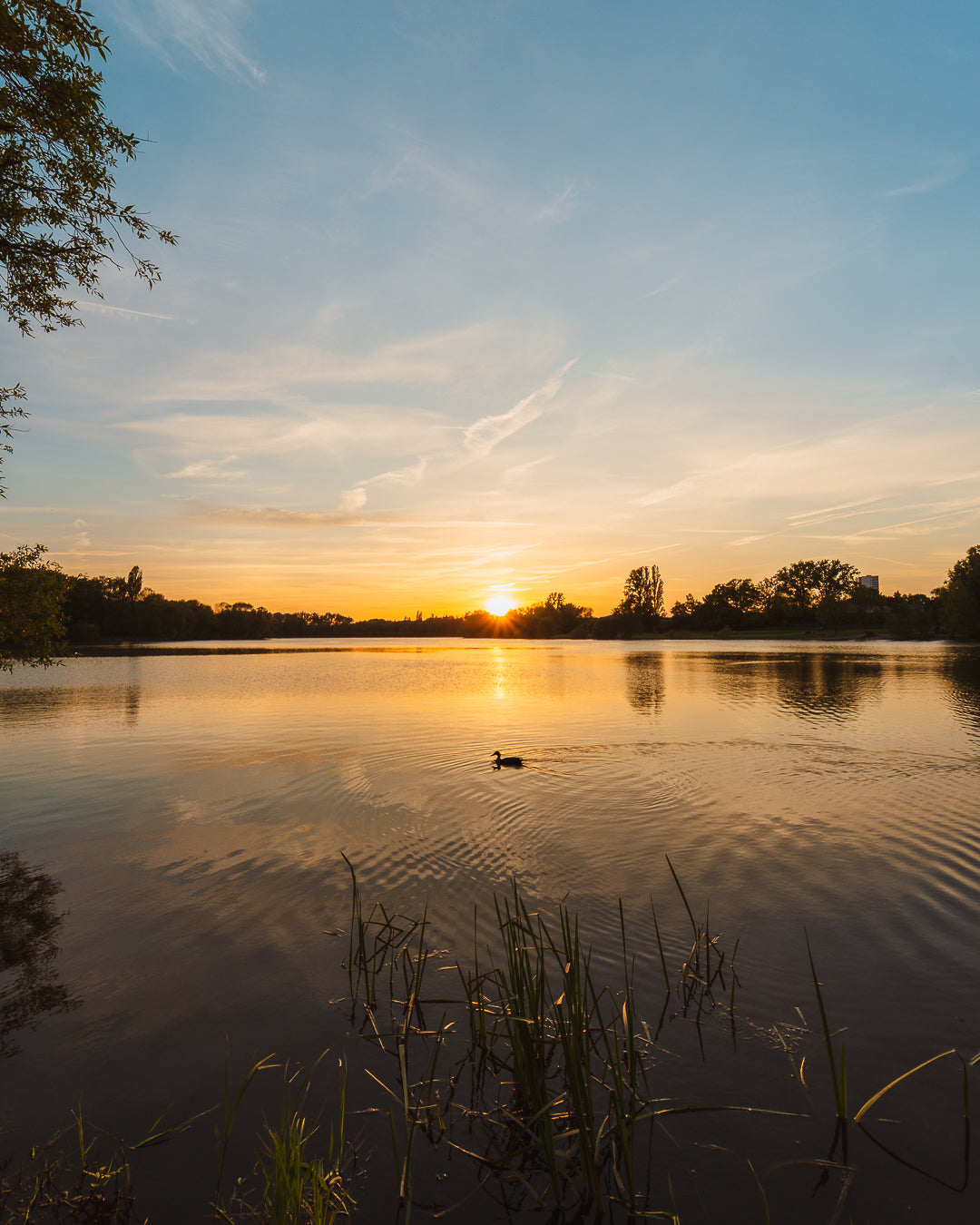 Postkarte: Ölpersee